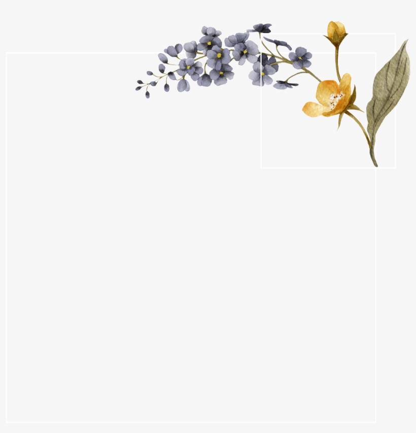 Visit - 10er-set Geschenkanhänger »schön, Dass Es Dich Gibt«, transparent png #2160690