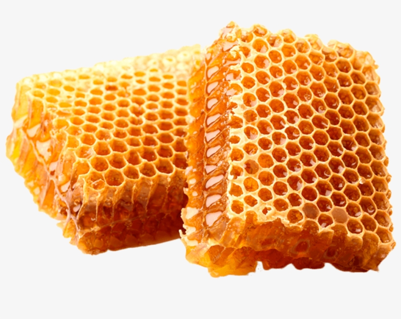 How Much Does It Cost To Start Beekeeping, transparent png #2160814