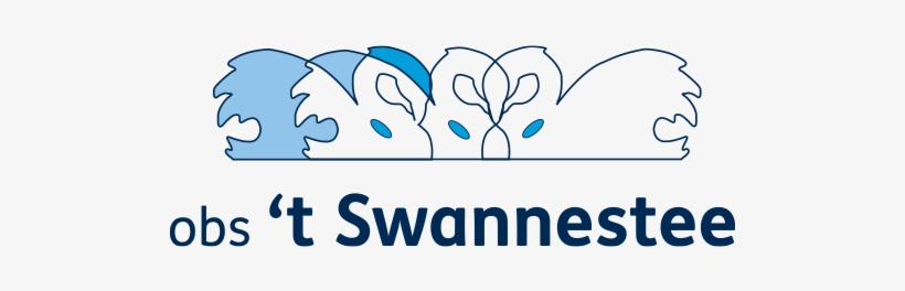 Obs T Swannestee, transparent png #2161047