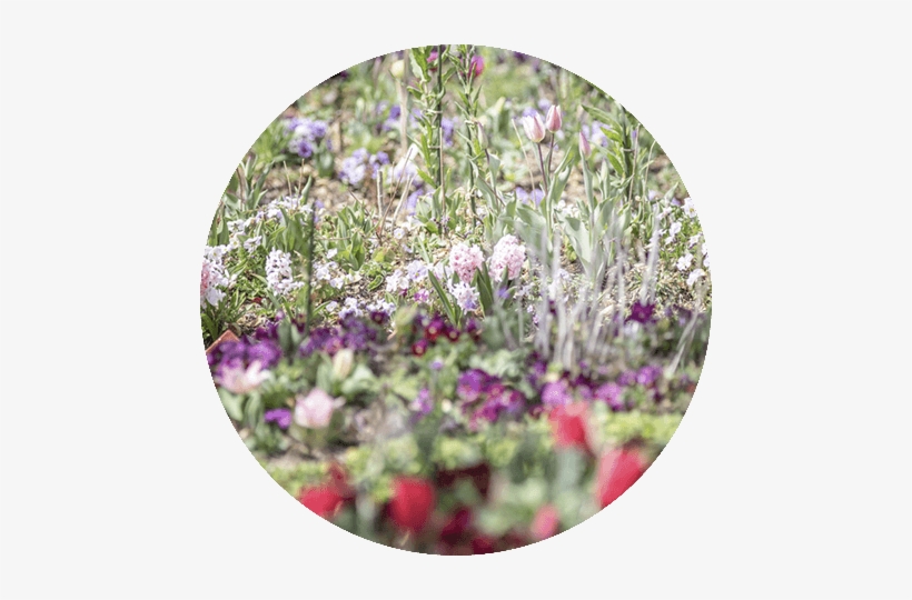 Flower Gardenhana No Niwa - Kitagawa, transparent png #2161430