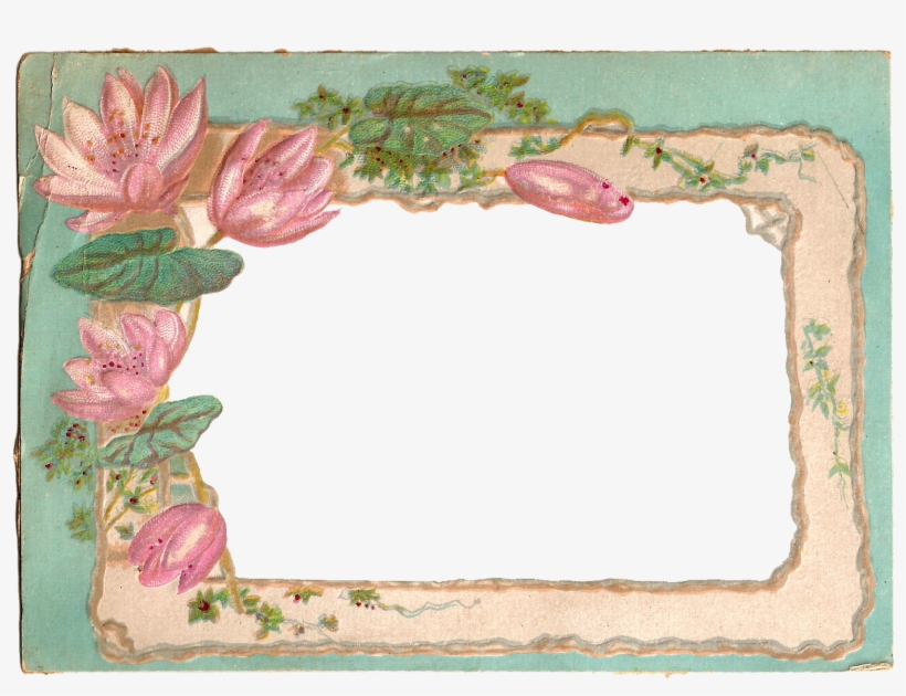 I Created This Digital Frame From A Vintage Postcard - Water Lily Frame Png, transparent png #2161536