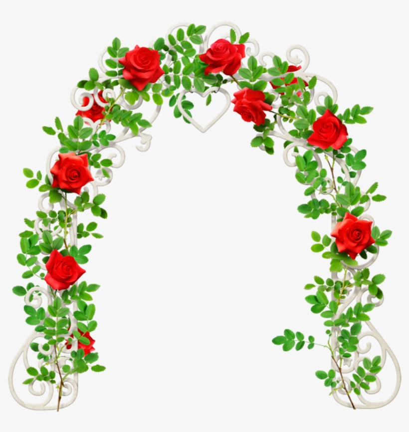 Forgetmenot - Garden Roses, transparent png #2162413