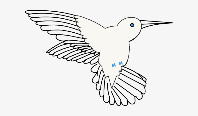 Drawn Hummingbird Peacock - Hummingbird Beak Drawing, transparent png #2163372