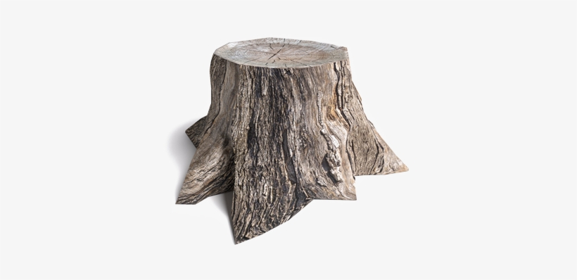 Honey Fungus - Tree Stump 3d Model Free, transparent png #2163375