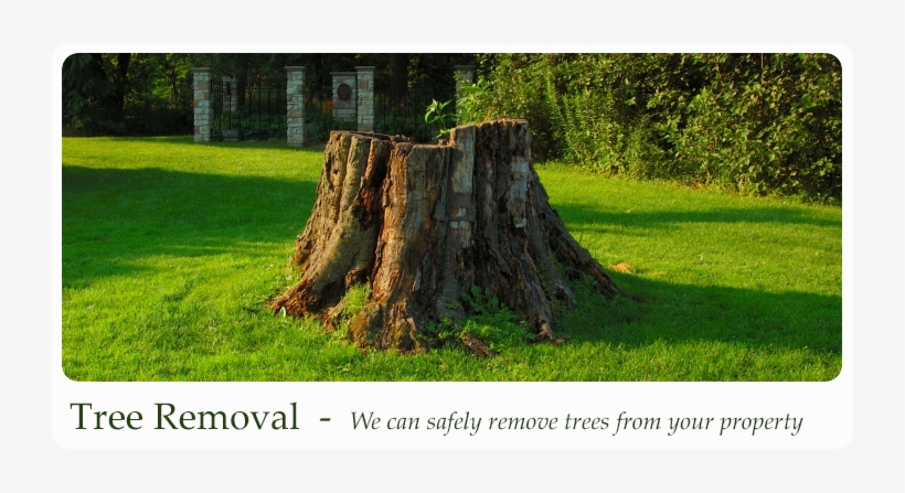 Green Scene Irrigation & Landscaping, transparent png #2163657