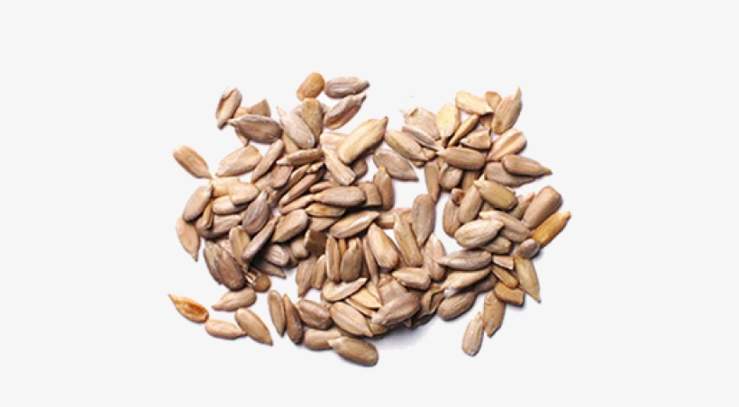 Sunflower Seeds Png Image - Sunflower Seeds, transparent png #2163999