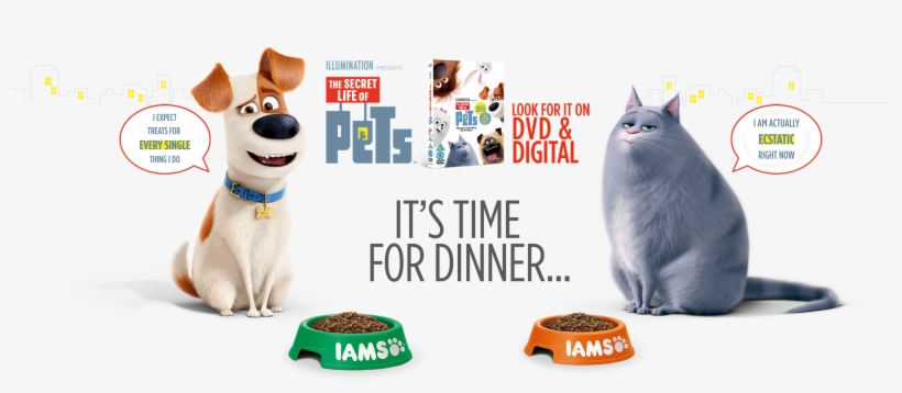 It's Time For Dinner - Secret Life Of Pets (dvd / With Ultraviolet Copy), transparent png #2164039