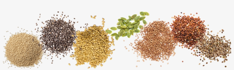 Learn More About Our Ingredients - Seed, transparent png #2164101