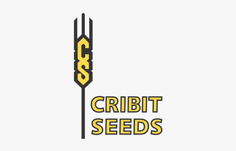 Cribit Seeds Logo Png - Portable Network Graphics, transparent png #2164154
