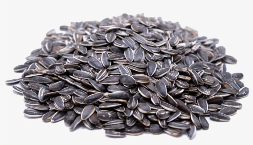 Sunflower Seeds Transparent Image - Gerbs Allergen Friendly Foods Unsalted Roasted Whole, transparent png #2164201