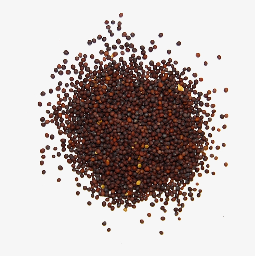 Mustard Seed, Brown - Ground Black Pepper Png, transparent png #2164251