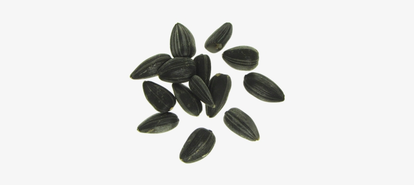 Sunflower Seeds Png - Transparent Seeds, transparent png #2164377