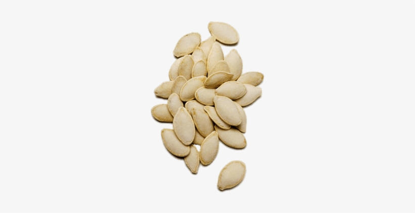 Semilla De Calabaza Larga, transparent png #2164400