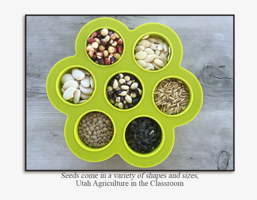 Source - Http - //naitc-api - Usu - - Lesson Plan, transparent png #2164449