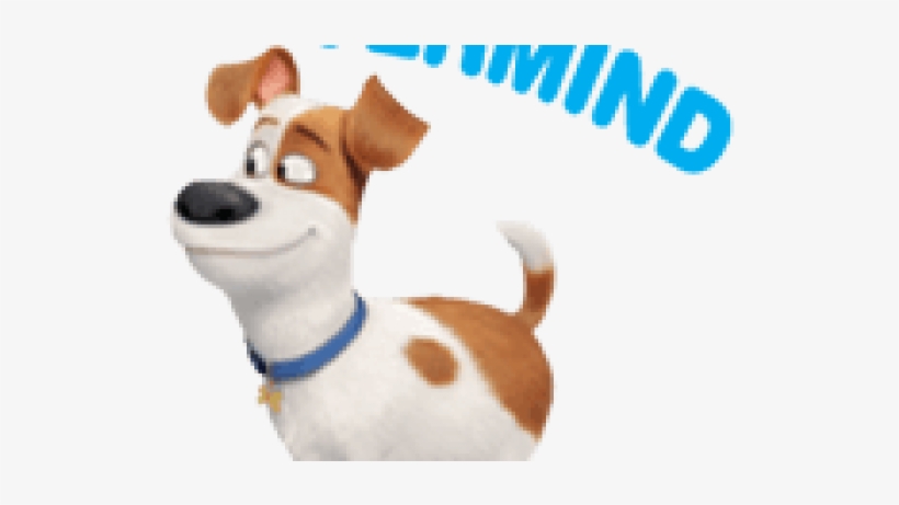 The Secret Life Of Pets, transparent png #2164472