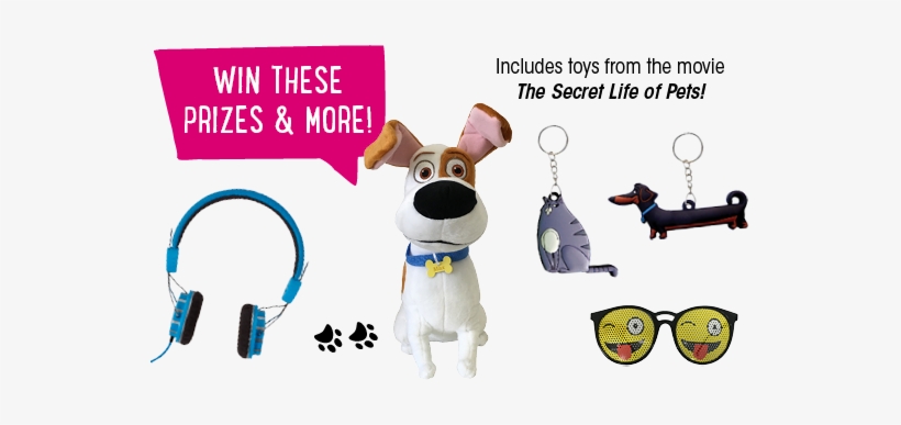 Announcing Our Fall 2016 Prize Program - Fundraising, transparent png #2164474