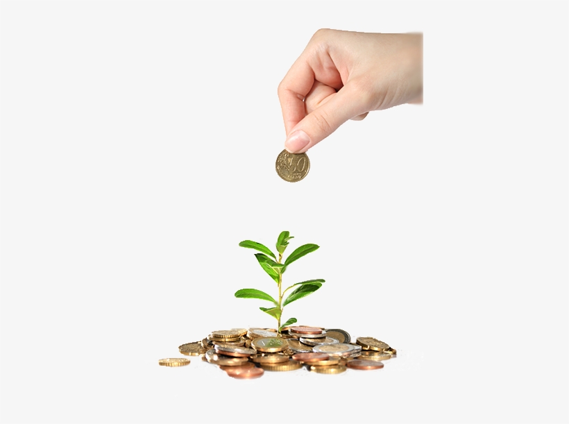 Planting-seeds - Low To Mid-middle Class Moving Up, transparent png #2164598