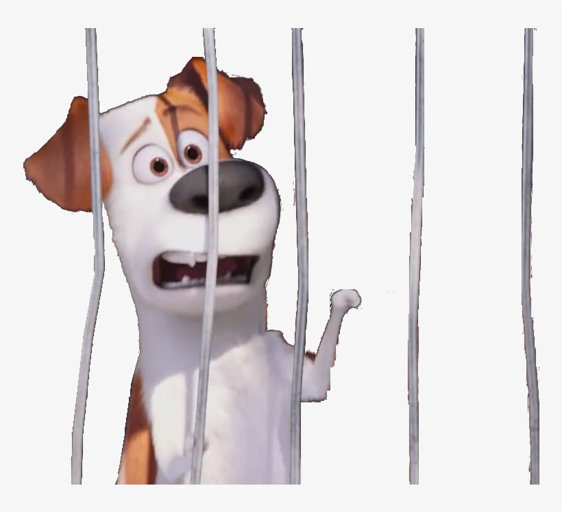 Max And Duke Cage Beta - Companion Dog, transparent png #2164812