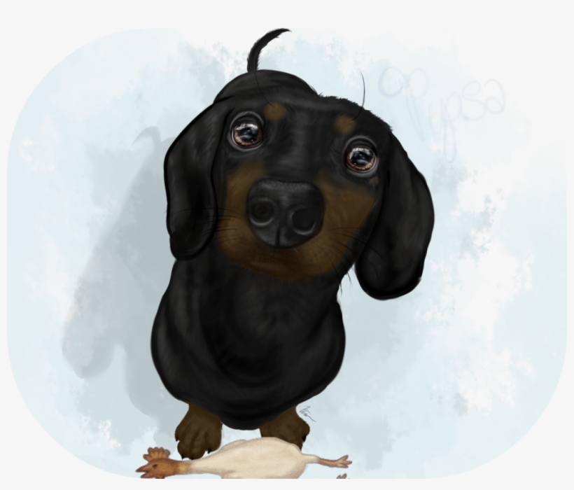 Pipsa By Xmeridiana - Dachshund, transparent png #2165419