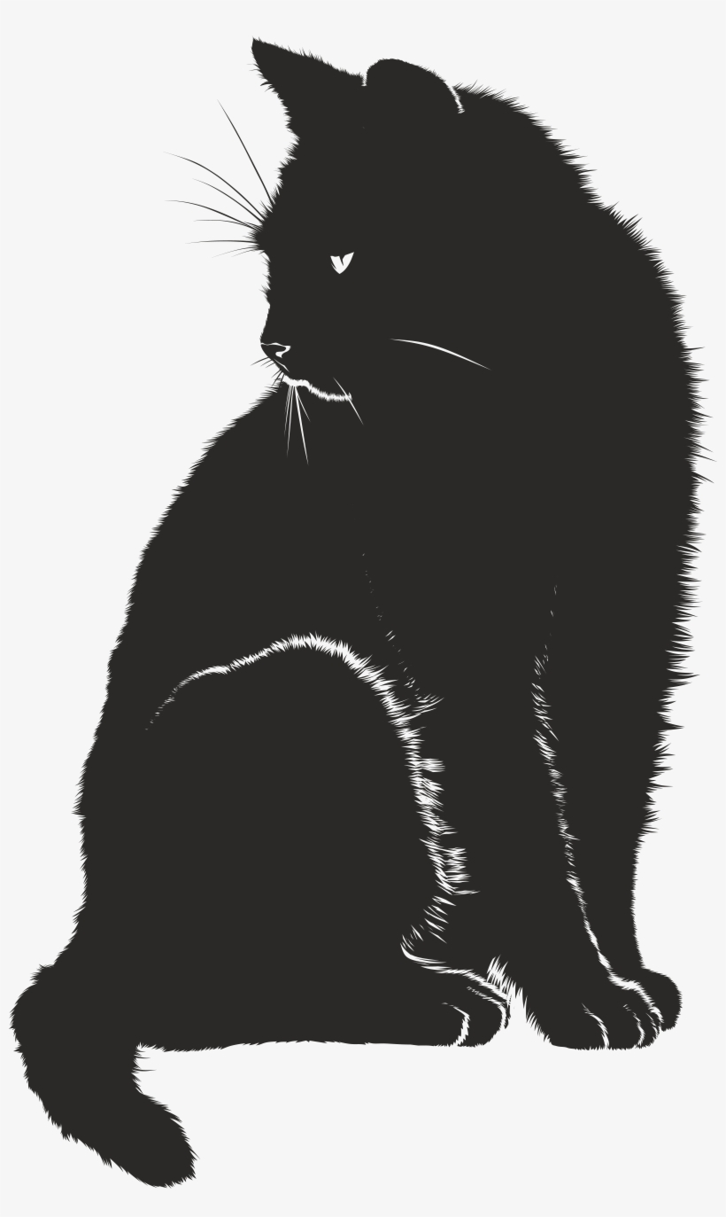 , , - Time Spent With Cats Is Never Wasted, transparent png #2165690