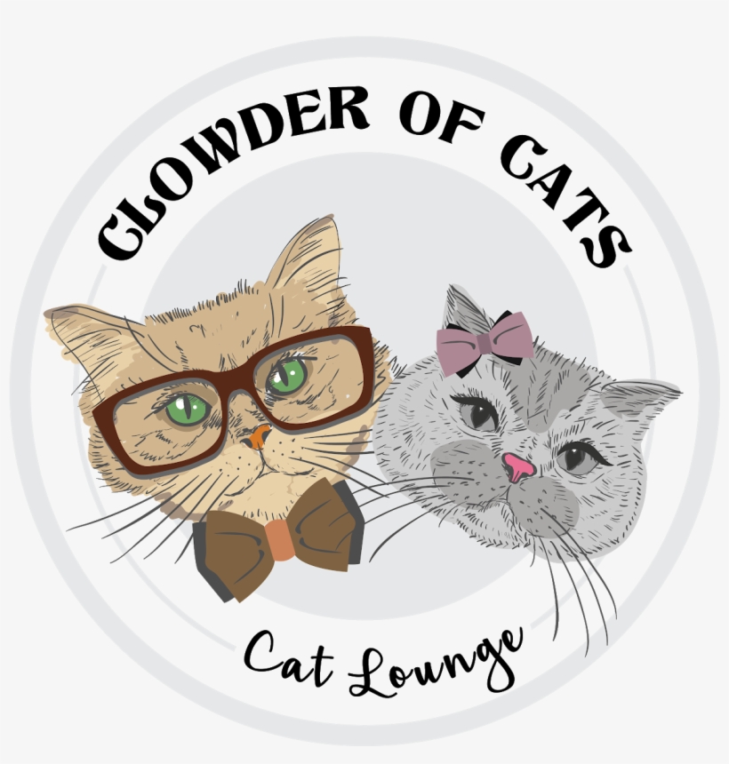 Cat, transparent png #2166013