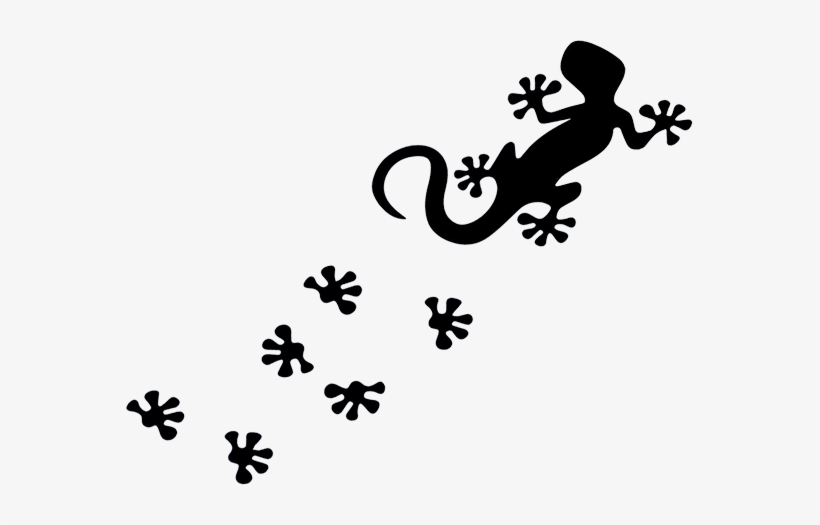 Salamander Footprints, transparent png #2166202