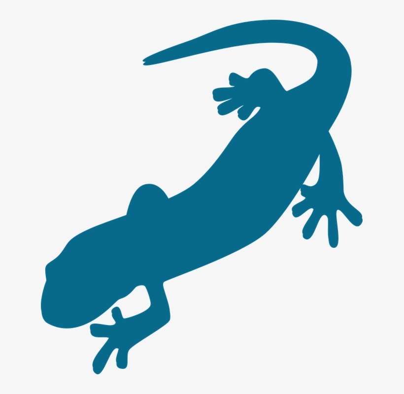 Salamander Png Pic - Salamander Clipart, transparent png #2166275