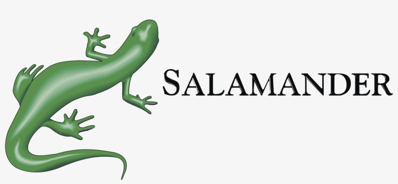 Salamander Logo Png Transparent - Salamander, transparent png #2166292