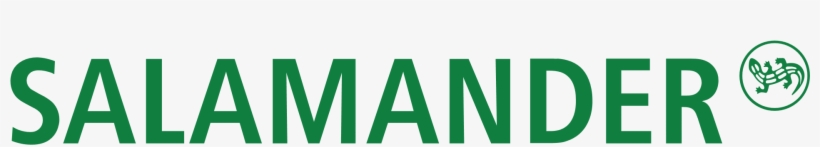 Salamander In Russia - Salamander Schuhe, transparent png #2166483