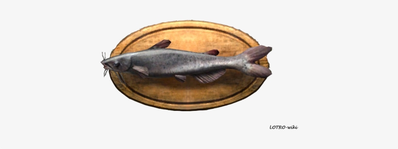 Cunning Catfish Trophy - Catfish Trophy, transparent png #2166991