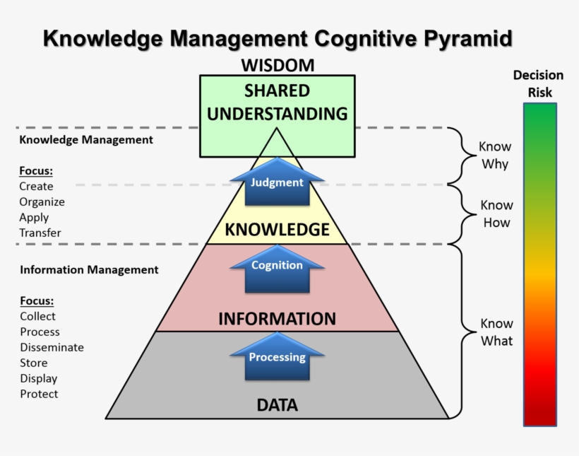 The Continuum Of Understanding - Knowledge Management Cognitive Pyramid, transparent png #2167363