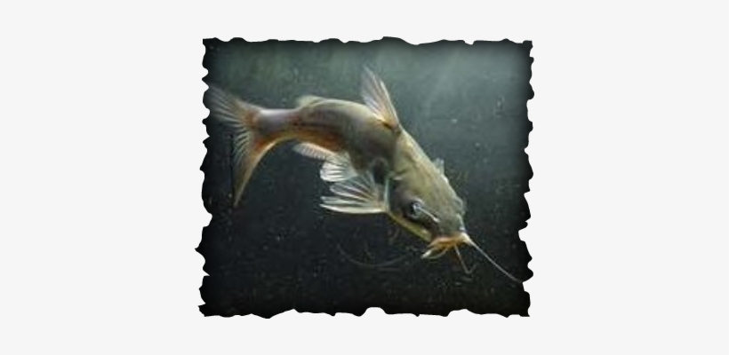 Satya Yoga, transparent png #2167491