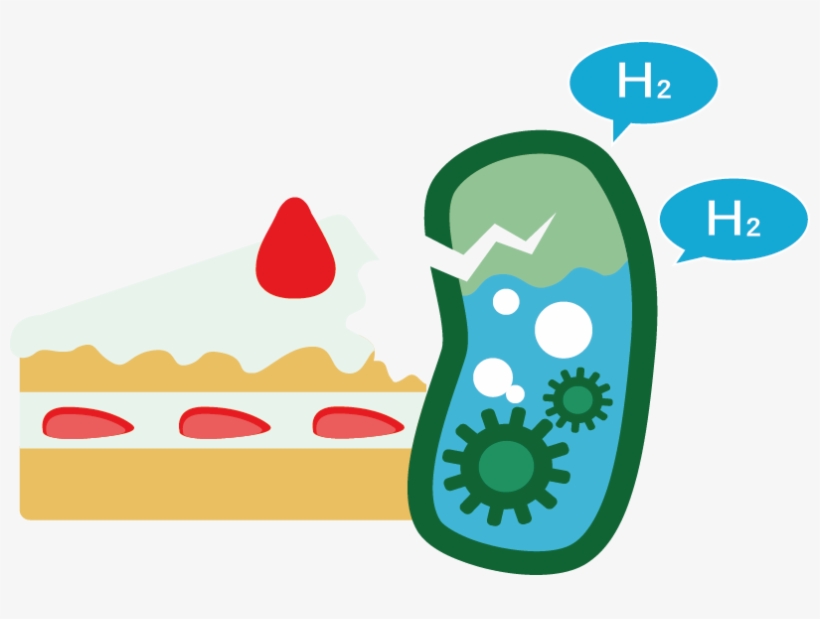 Logo - Hydrogen Production E Coli, transparent png #2169482