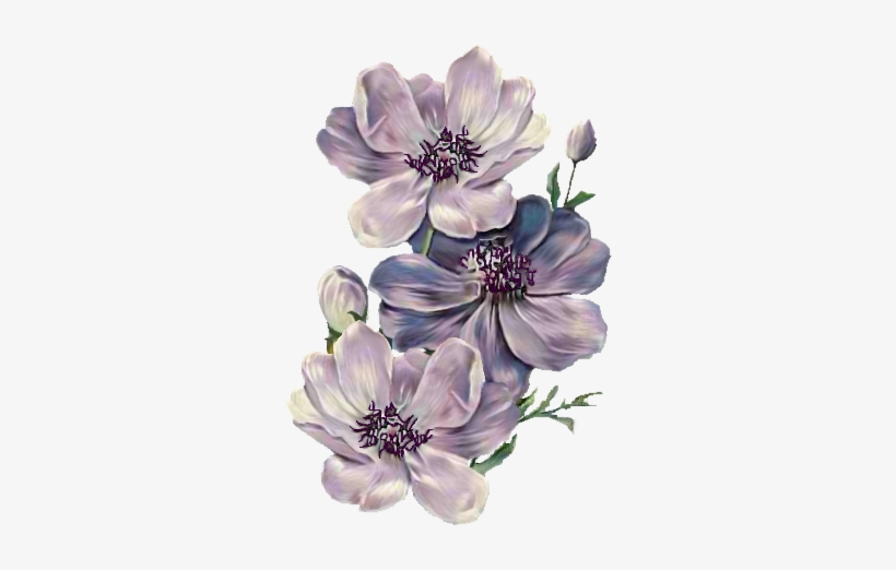 Poppies Blue - Victorian Flowers Purple Art, transparent png #2170038