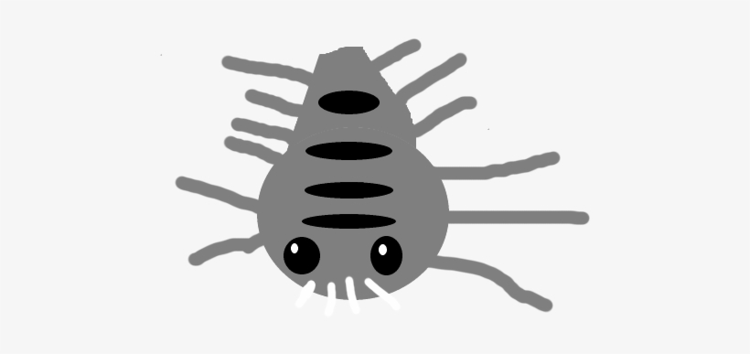 Io Fresh Water Shark - Wiki, transparent png #2170079