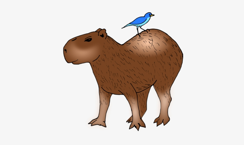 Capybara Vertebrate Drawing American Beaver Computer - Chiguiro Png, transparent png #2170365