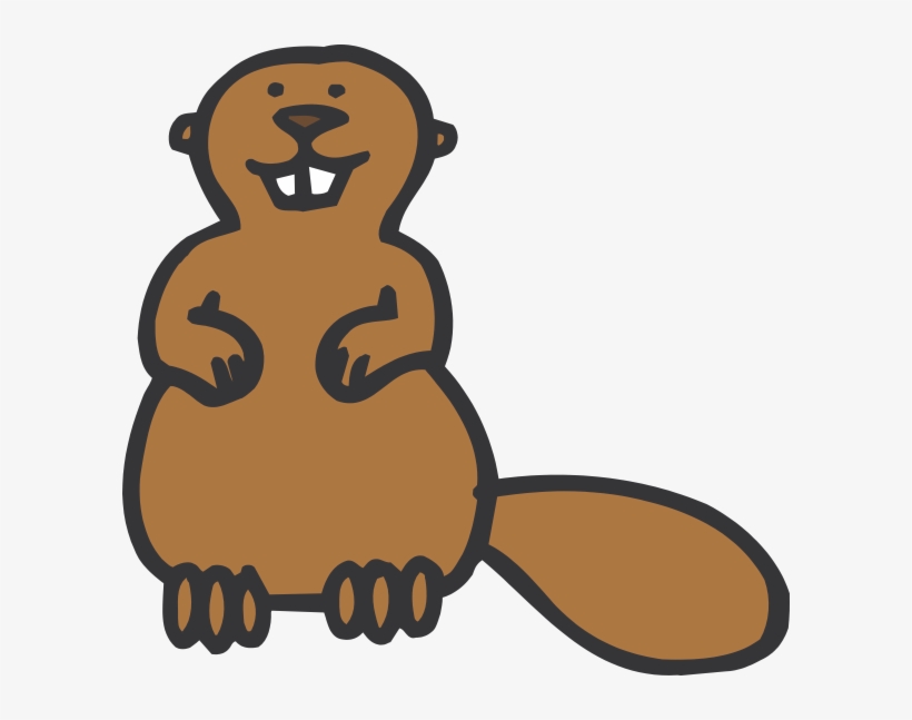 Beaver Blanket - Beaver Cartoon, transparent png #2170417
