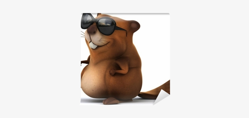 Beaver - Free Transparent PNG Download - PNGkey