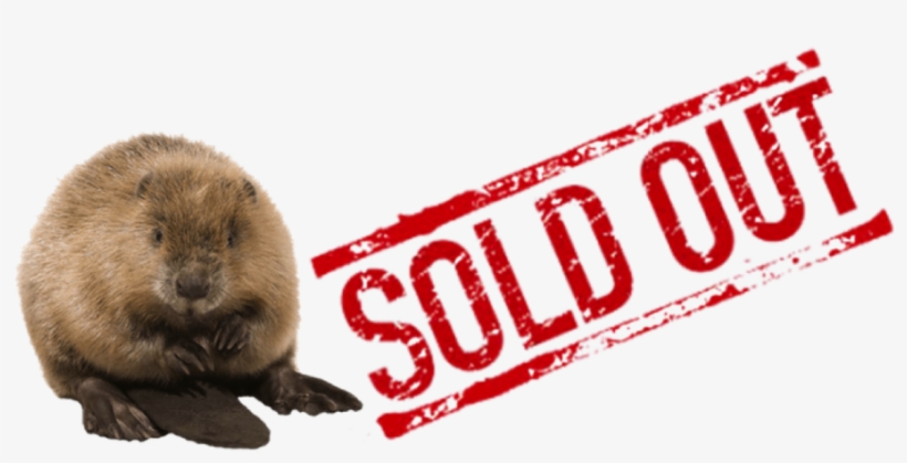 Censored Stamp Tile Coaster, transparent png #2170673