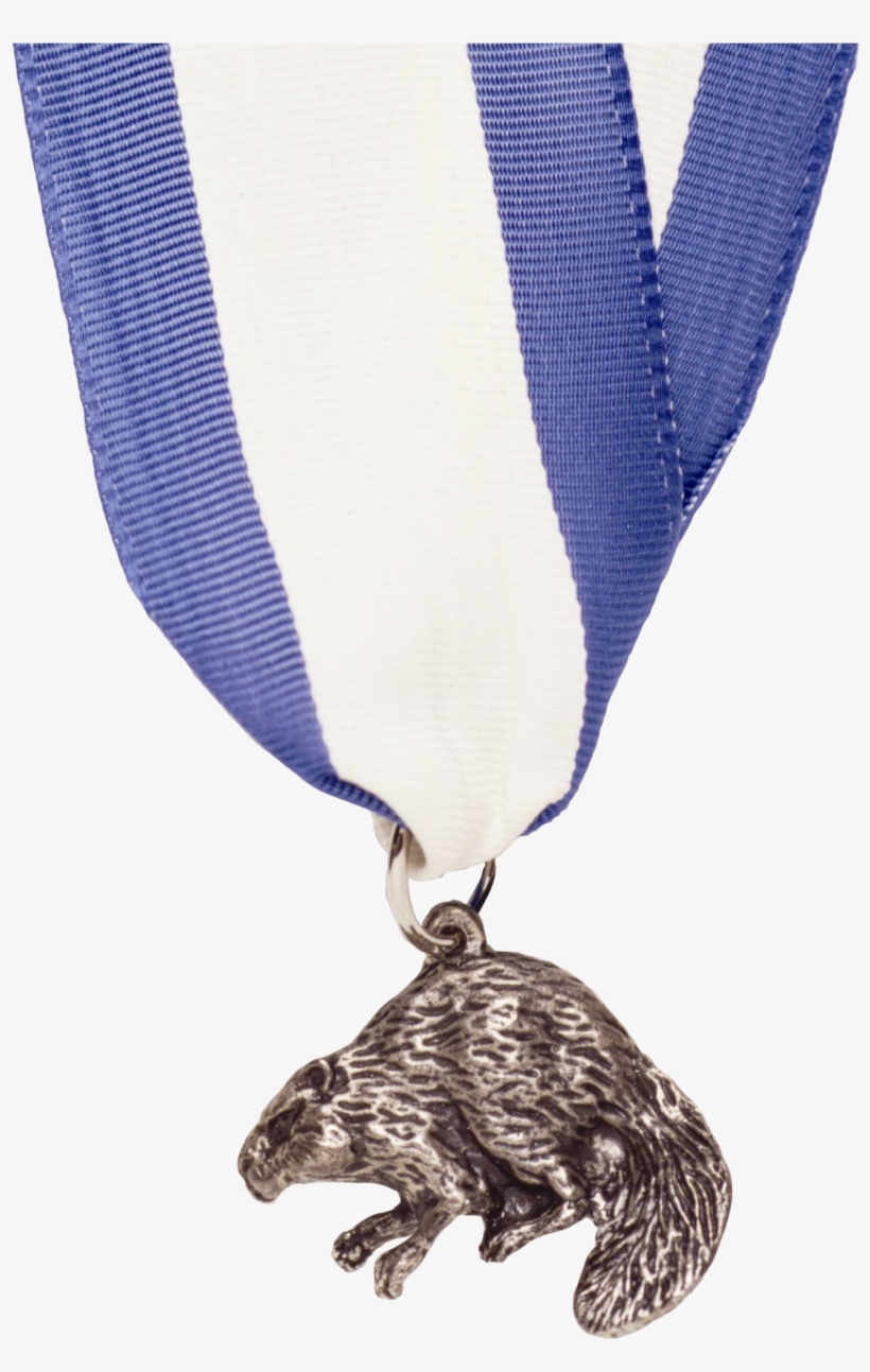 Silver Beaver Medal, transparent png #2170692