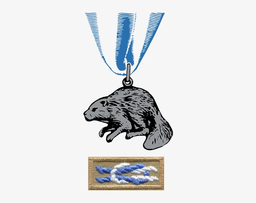 Silver-beaver - Silver Beaver Award, transparent png #2170763