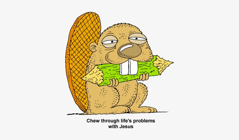 Chew Through - Beaver Chewing Wood Gif, transparent png #2170949