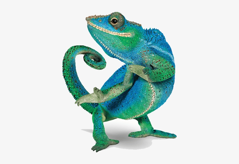 Telus Chameleon, transparent png #2172323