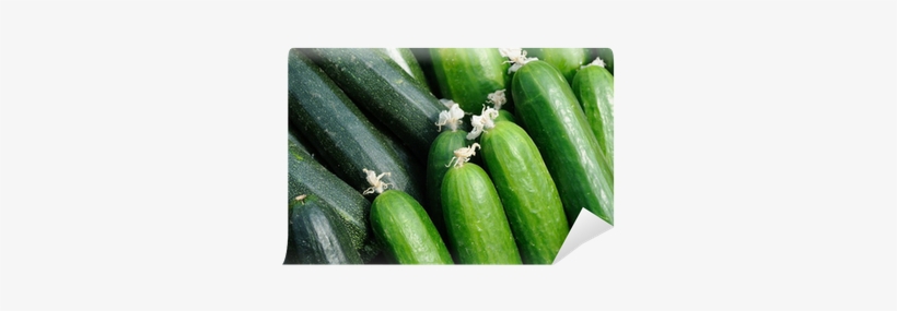 Courgette Vs Komkommer, transparent png #2173049
