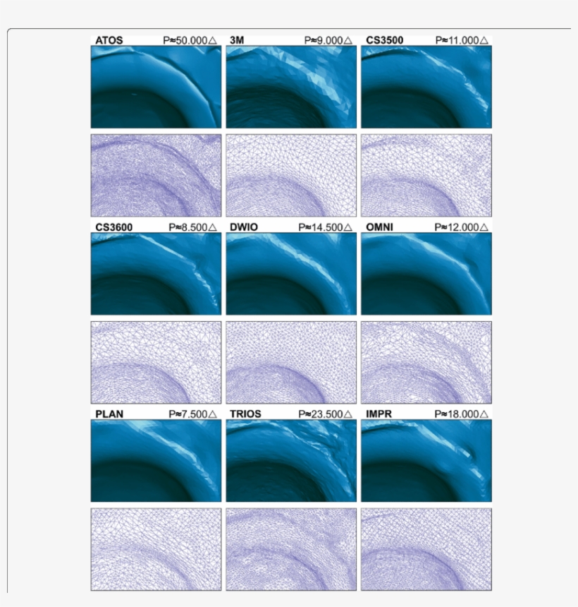 Comparison Of Rendered Surface And 3d Mesh Displaying - Inflatable, transparent png #2173396