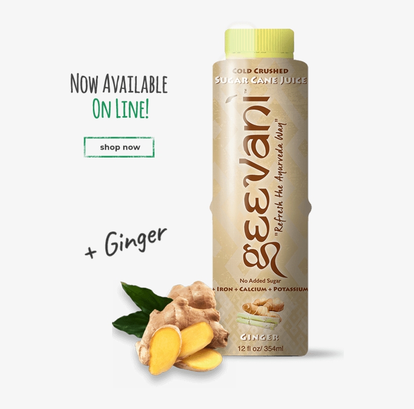 Info Helthebrands - Plant Seed 50 Pcs/bag Ginger Seeds Balcony Organic, transparent png #2173473