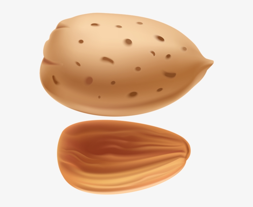 Almond Png Clip Art - Almonds Clipart Transparent Png, transparent png #2173517
