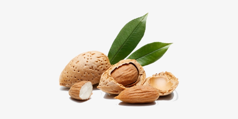 Agronomic Data - Almond, transparent png #2173663