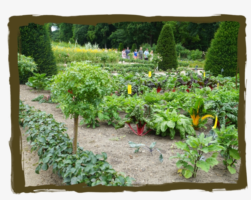 Gardens - Botanical Garden, transparent png #2174106