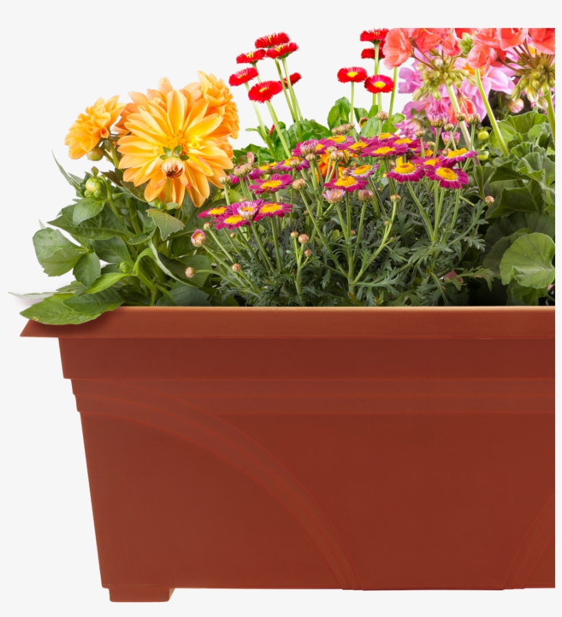 Pots Of Plants Png, transparent png #2174129